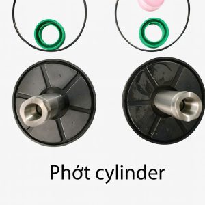 Phớt Cylinder